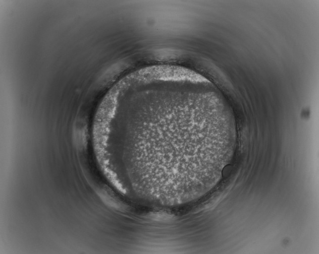 X0000100420644200807032102