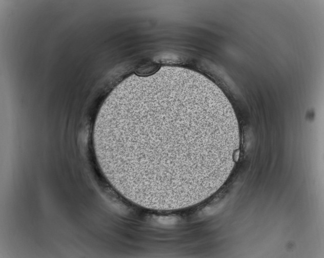 X0000100420645200807032102