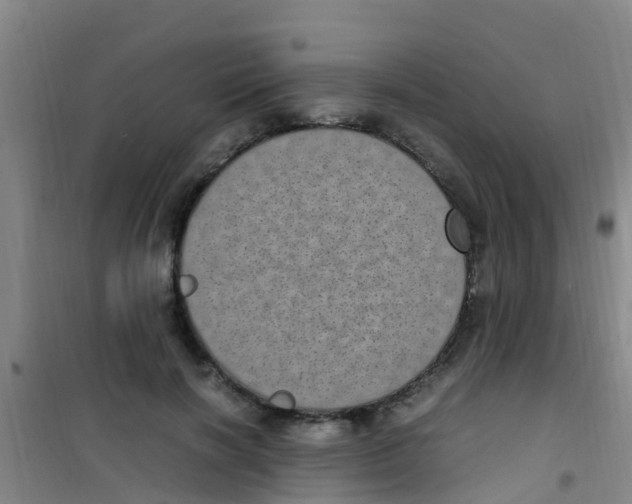 X0000100420646200807032102