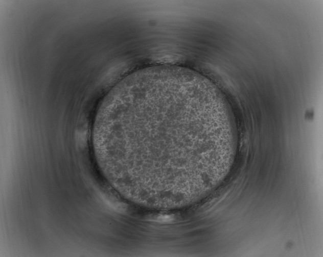 X0000100420647200807032102