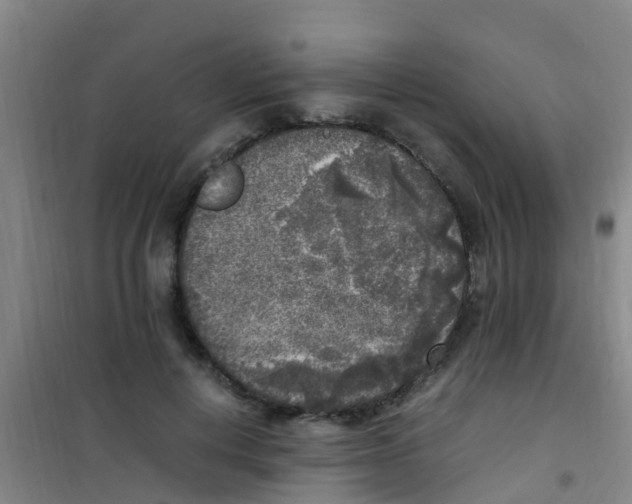 X0000100420648200807032102