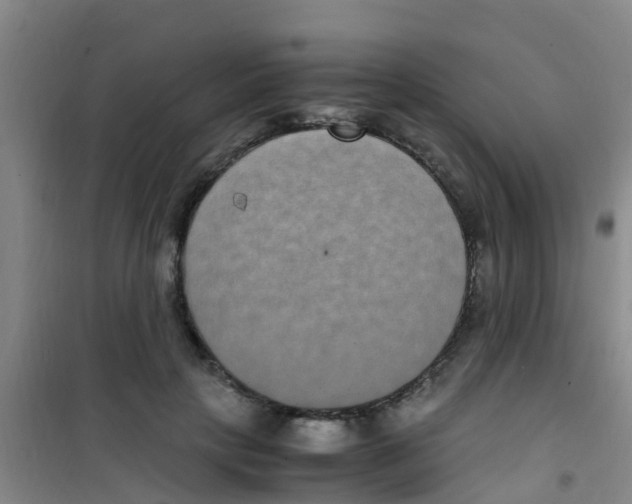 X0000100420649200807032102