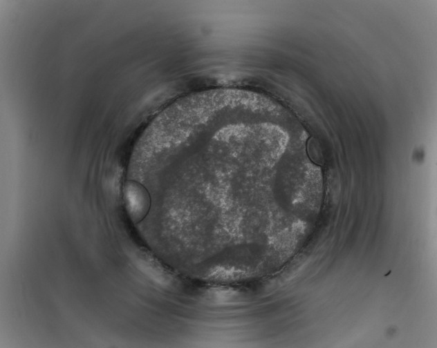 X0000100420650200807032102