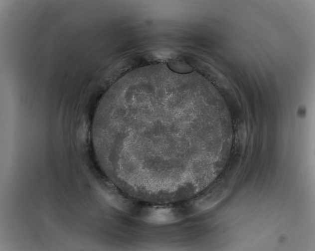 X0000100420651200807032102