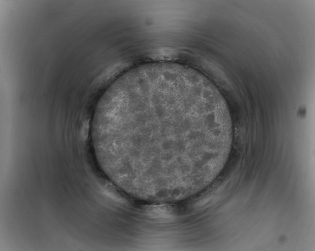 X0000100420652200807032102