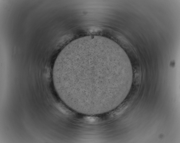 X0000100420654200807032102