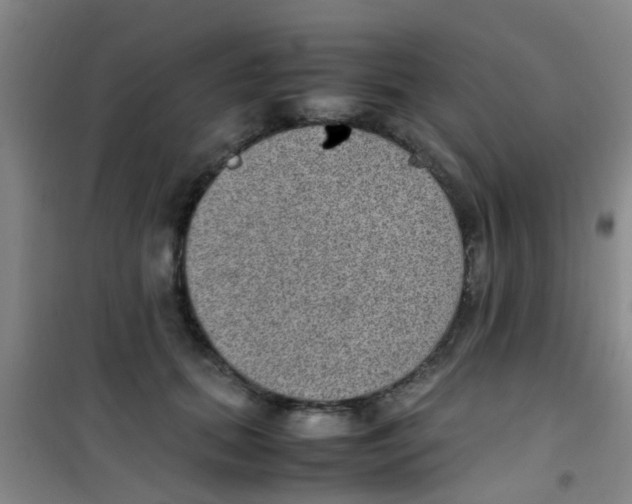 X0000100420655200807032102