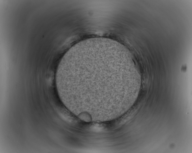 X0000100420656200807032102