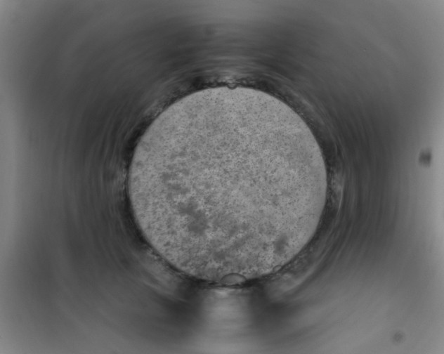 X0000100420657200807032102