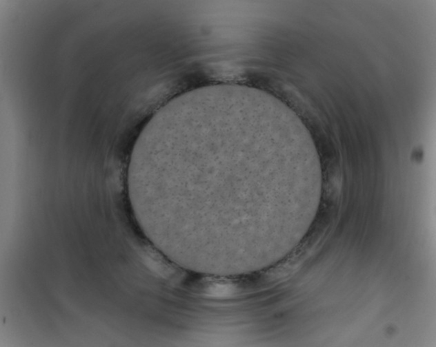 X0000100420658200807032102