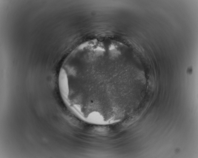 X0000100420659200807032102