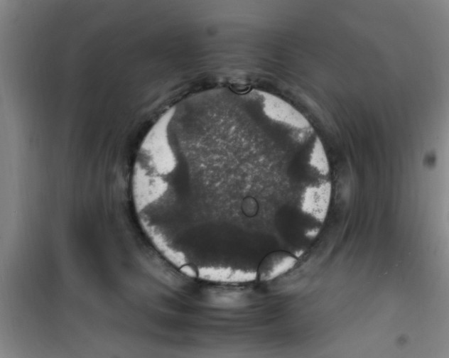 X0000100420661200807032102