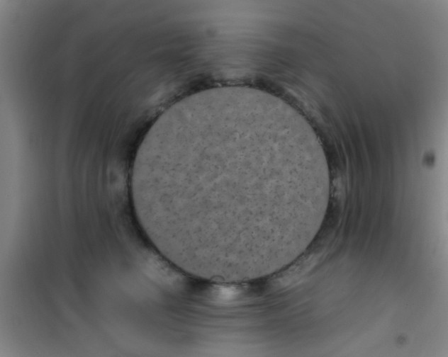 X0000100420662200807032102