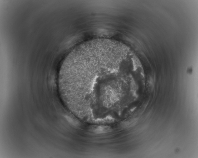 X0000100420663200807032102