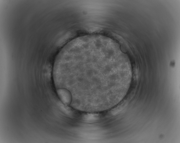 X0000100420664200807032102