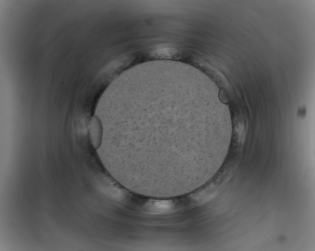 X0000100420665200807032102