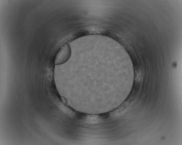 X0000100420666200807032102