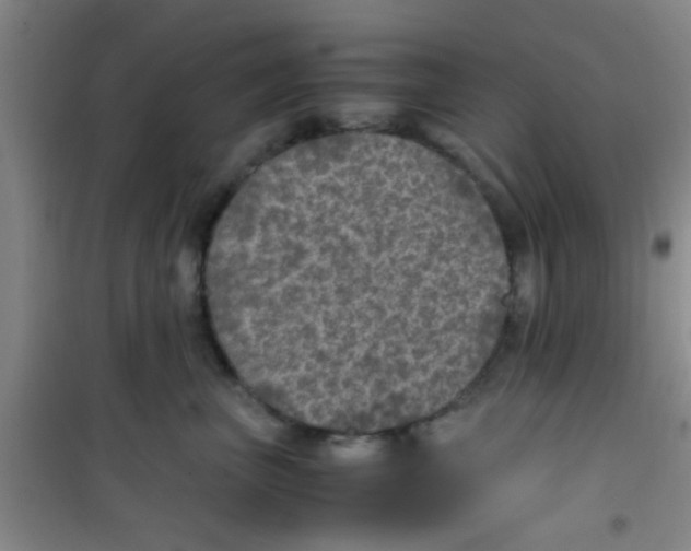 X0000100420667200807032102