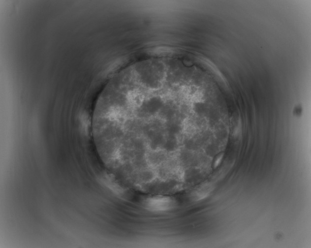 X0000100420669200807032102