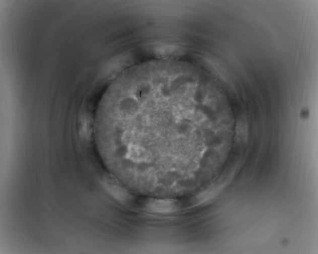 X0000100420671200807032102