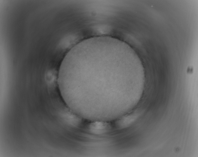 X0000100420672200807032102