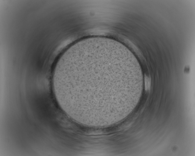 X0000100420675200807032102