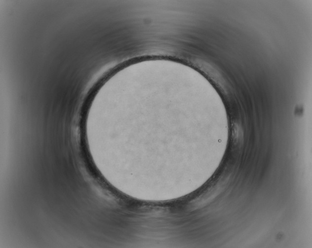 X0000100420676200807032102