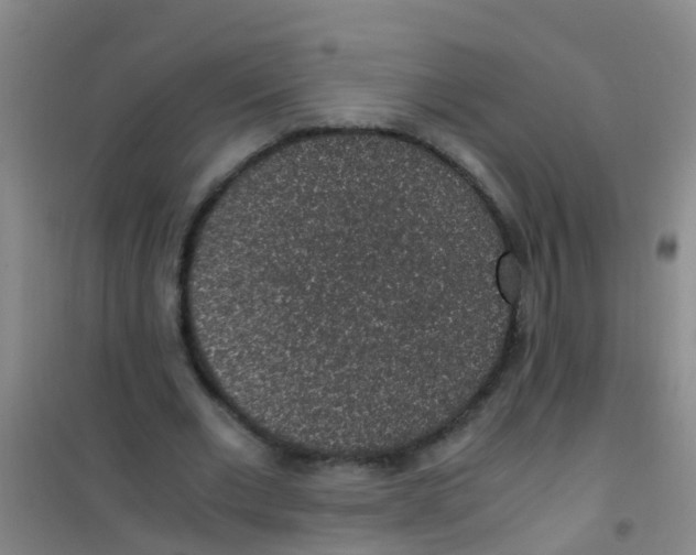 X0000100420677200807032102