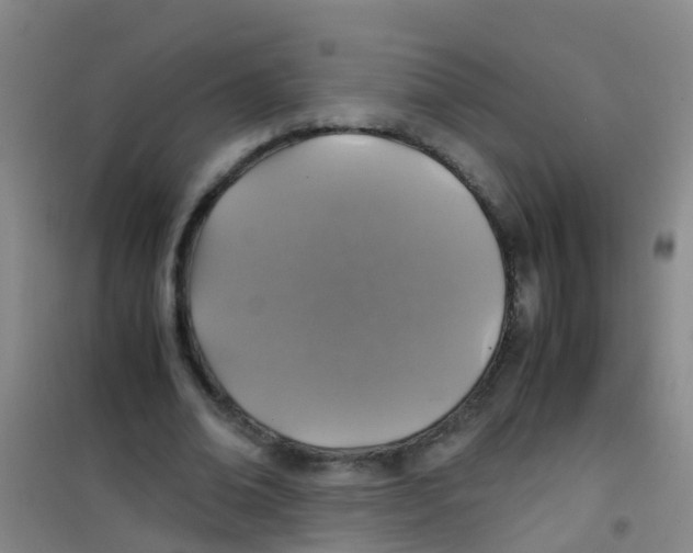 X0000100420678200807032102