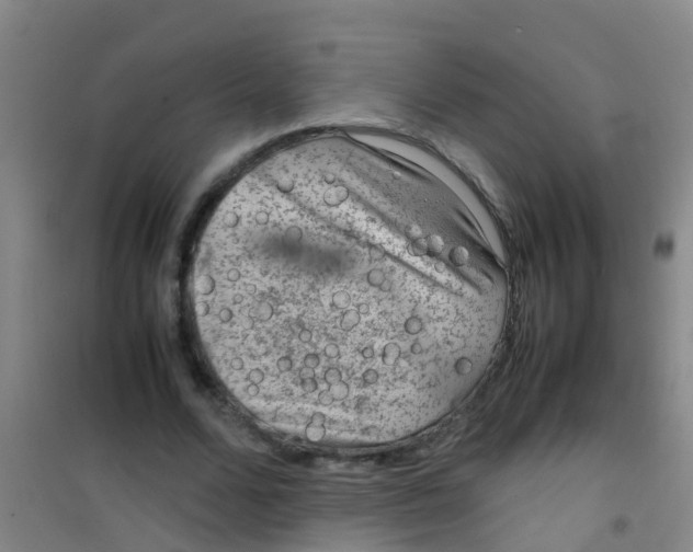 X0000100420680200807032102