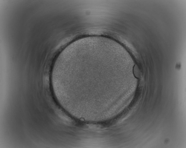 X0000100420681200807032102