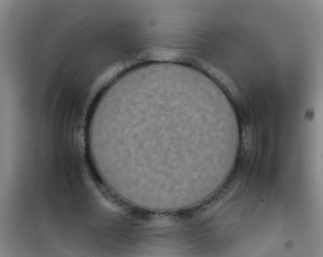 X0000100420682200807032102