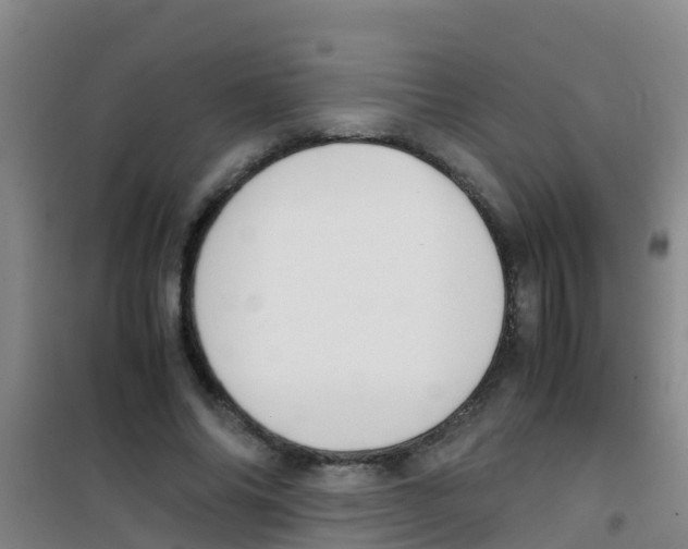 X0000100420686200807032101