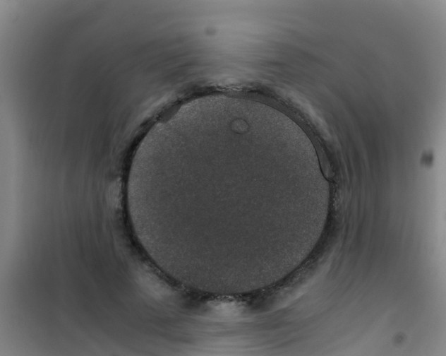 X0000100420689200807032101