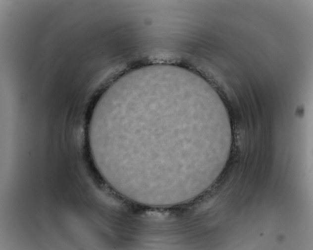 X0000100420690200807032101