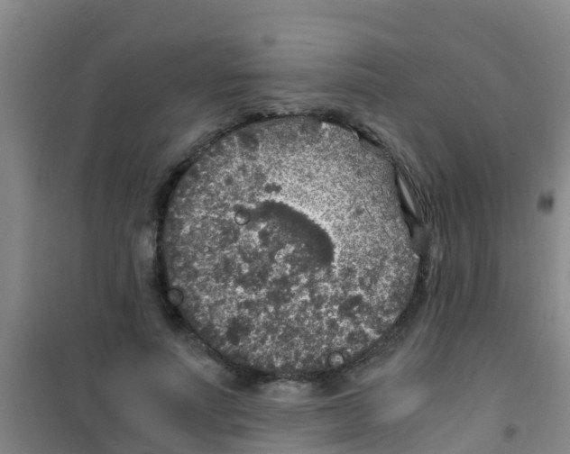 X0000100420691200807032101