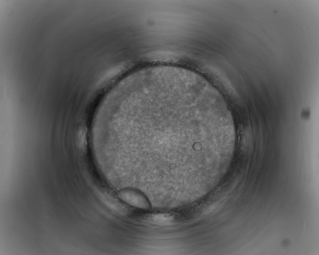 X0000100420692200807032101