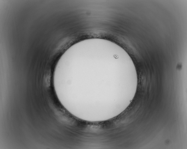 X0000100420694200807032101