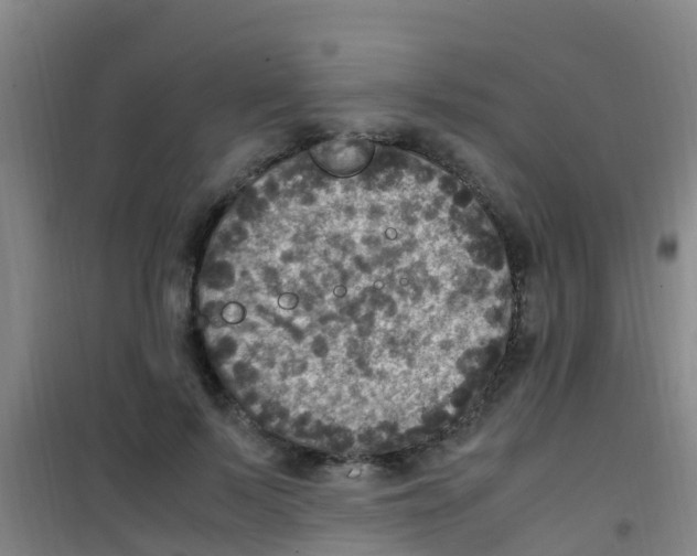 X0000100420695200807032101