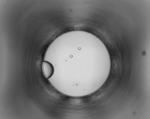 X0000100420698200807032101