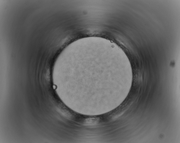 X0000100420700200807032101