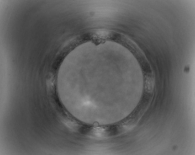 X0000100420701200807032101