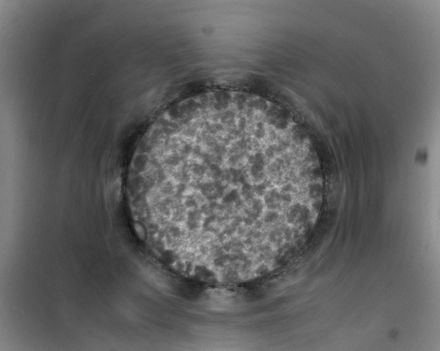 X0000100420703200807032101