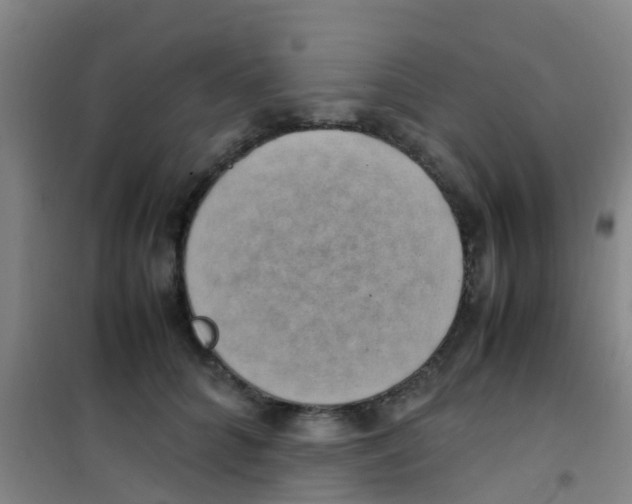 X0000100420704200807032101