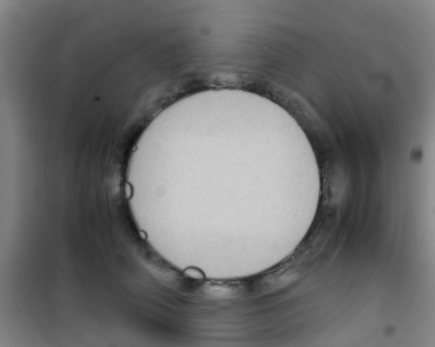 X0000100420706200807032101