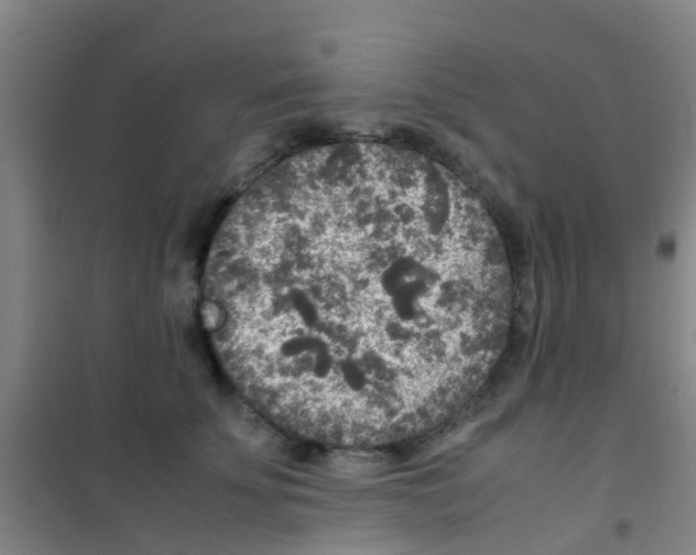 X0000100420707200807032101