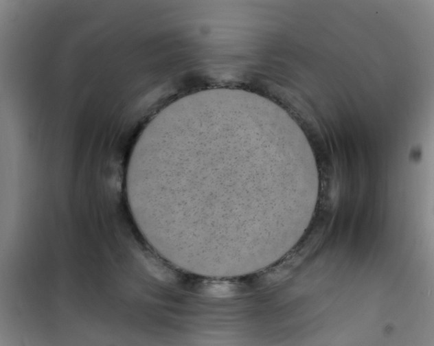 X0000100420710200807032101