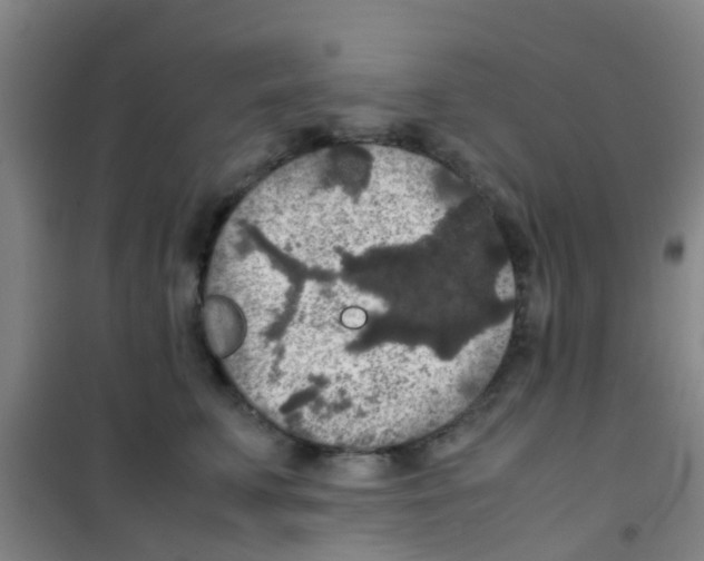 X0000100420711200807032101