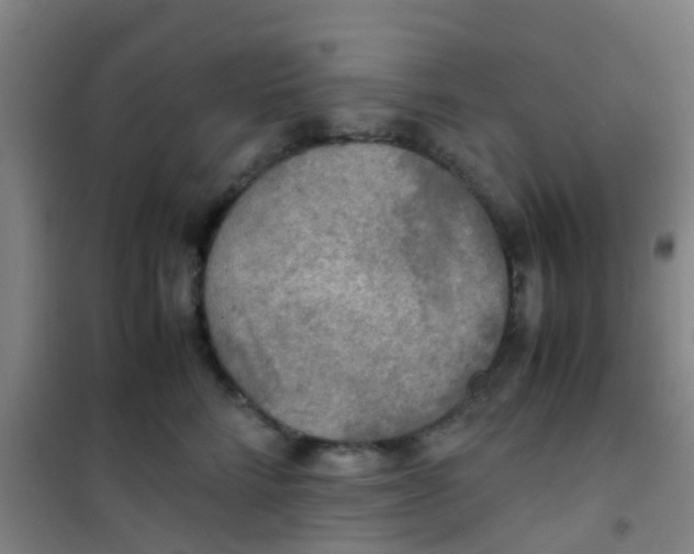 X0000100420712200807032101