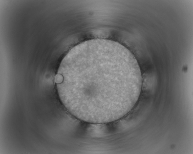 X0000100420713200807032101